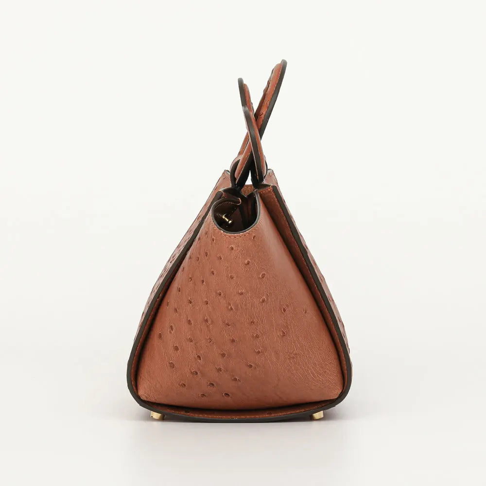Ostrich Genuine Leather Women's Handbag Fashionable Trendy Simple Versatile Lady's Tote Single-Shoulder Crossbody Bag